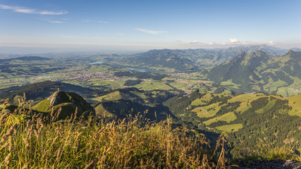 La Gruyère