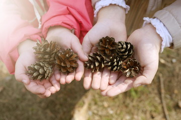 pine cone in the hands of the two girls sisters