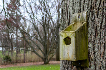 Bird house
