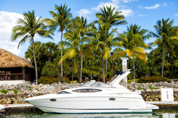 Marina in Miami Beach, Florida, USA