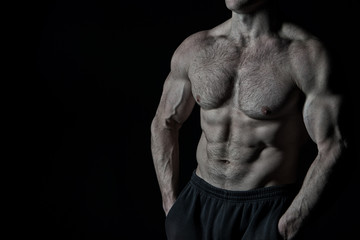 Obraz na płótnie Canvas handsome bodybuilder man with muscular body training in gym