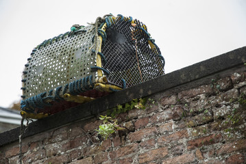 Lobster trap sitting on brick wall