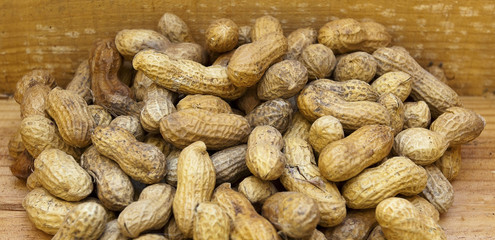 Peanuts in shells.