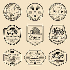 Vector retro set of farm fresh logotypes. Vintage labels with hand sketched agricultural equipment illustrations.