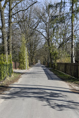 Leśna droga w słoneczny dzień © RegnumInvictum