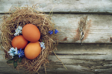 Easter eggs in the nest. Spring postcard 