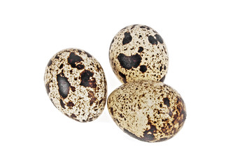 Three quail eggs on a white background