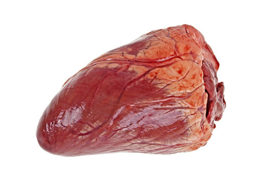 Beef heart isolated on a white background
