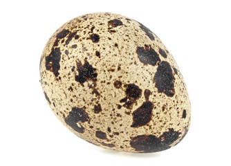 Quail egg on a white background
