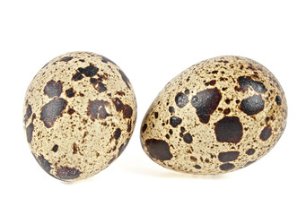 Quail eggs on a white background