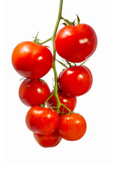 Fresh organic tomatoes