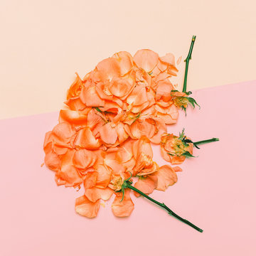 Minimal creative design. rose petals on pastel background. Art Help