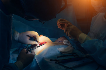 stitching of seam after performing surgery. Closeup