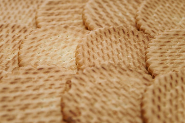 delicious cookies close-up as background
