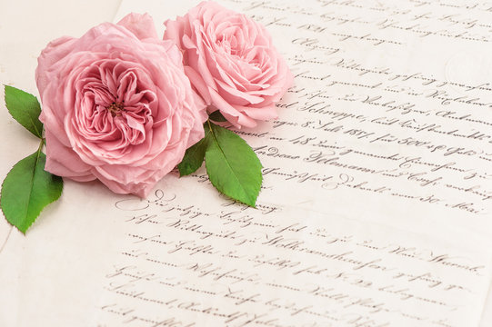 Pink rose flowers and old handwritten letter