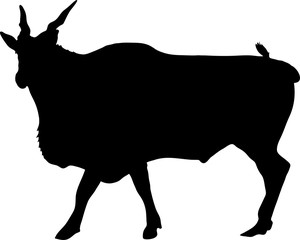 Silhouette of a standing eland antelope, hand drawn vector illustration isolated on white background