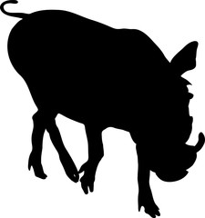 Silhouette of a funny moving standing warthog, hand drawn vector illustration isolated on white background