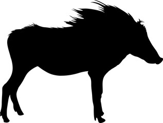 Silhouette of a funny moving standing warthog, hand drawn vector illustration isolated on white background