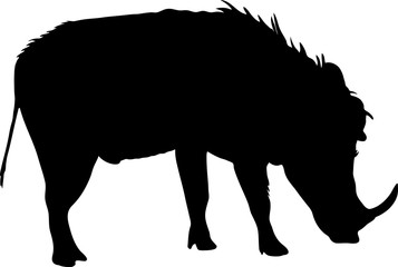 Silhouette of a funny moving standing warthog, hand drawn vector illustration isolated on white background