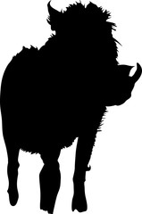 Silhouette of a funny moving standing warthog, hand drawn vector illustration isolated on white background