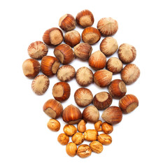 Hazelnut isolated on a white background. Nuts. Flat lay, top view