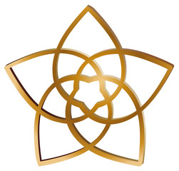 Venusblume Vektor © sunnychicka