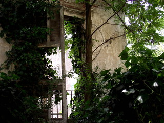 casa abandonada y destruida cubierta por las plantas