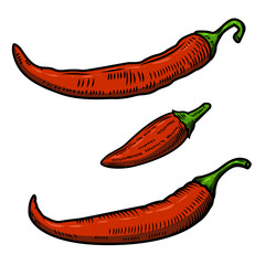 Set of Chili pepper illustration isolated on white background. Design element for poster, menu.