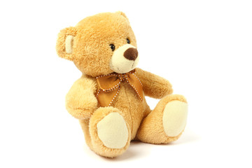 toy teddy isolated on white background