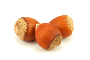 hazelnut isolated on white background