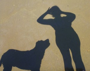 Shade of a dog and a woman on the beach