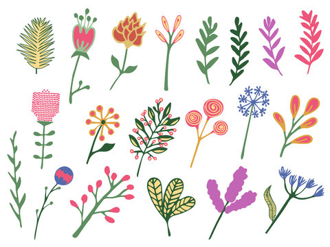 Hand Drawn colorful vintage floral elements