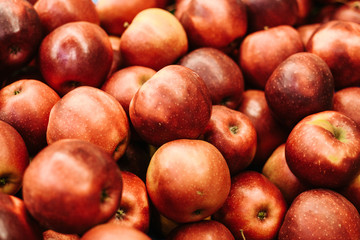 Fresh apples. Natural local products on the farm market. Harvesting. Seasonal products. Food.