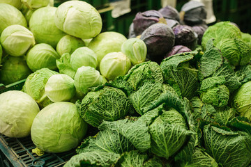 Fresh cabbage on the farmers market. Dietary and vegetarian product. Natural local products on the farm market. Harvest. Seasonal products. Food. Vegetables.