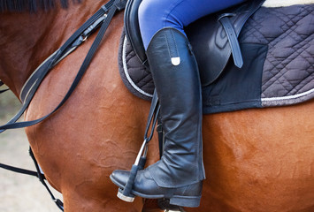 The rider sits on a brown stallion. Horseback riding