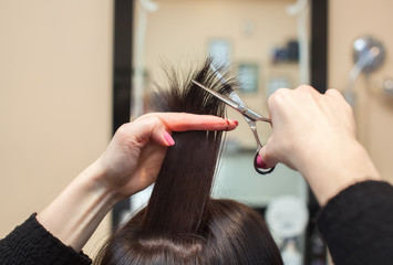 The hairdresser does a haircut with scissors of hair to a young girl, a brunette in a beauty salon.