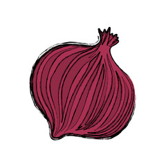 onion purple vegetable vector icon illustration sketch