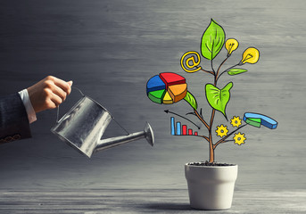 Drawn income tree in white pot for business investment savings and making money