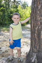 In the summer in the woods near the pine stands a little boy.