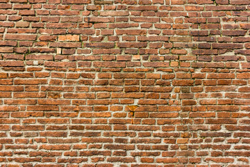 Red brick wall and cement
