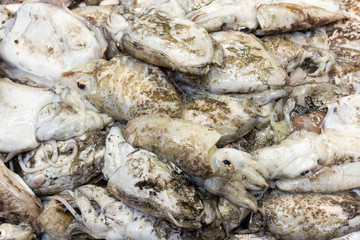 Sea fish on market stalls