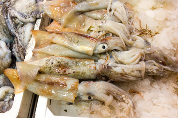 Sea fish on market stalls
