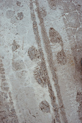 Prints of bicycle and boots in the mud