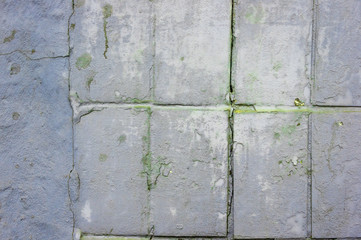 Texture of wall with painted tiles