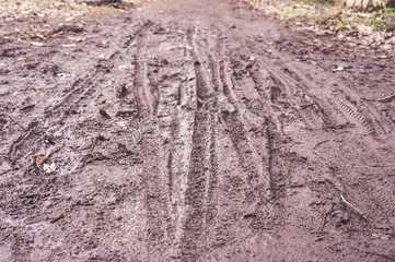 Boots and bicycle prints in the mud