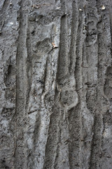 Boots and bicycle prints in the mud