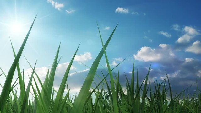 Time Lapse Animation of Green Grass with Flowing Clouds and Sun