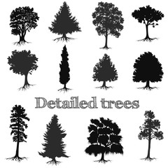 Collection of vector detailed hand drawn trees silhouettes for design