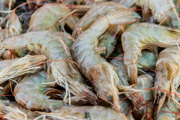 closeup view of a heap of white sea prawns