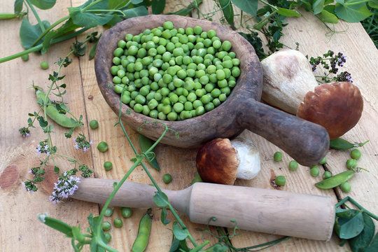 A beautiful still-life in the rustic style consists of their green fresh peas in old wooden utensils, a large white edible mushroom, a pistil and green shoots spread out on a rough wooden table.